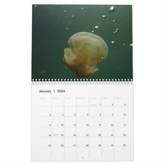 フィージー-ダイバーの楽園2018の壁掛けカレンダー カレンダー (1月 2026)