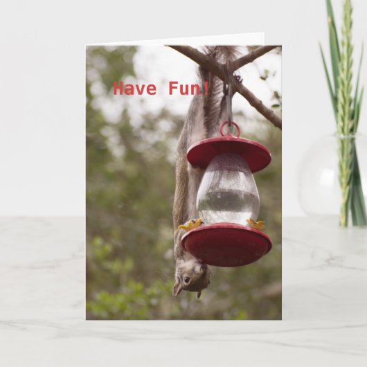 フィーダーでリスを上下反転させる カード (正面)