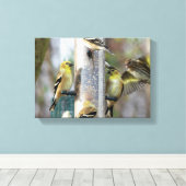 フィーダーで金髪のフィンチ キャンバスプリント (インサイチュ (ウッドフロア))