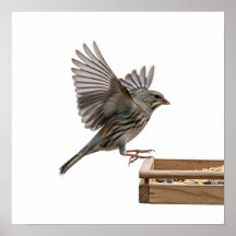 フィーダーのグラフィックスから離陸