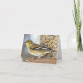 フィーダーのゴールドフィンチ – カー空白のド カード (正面)