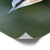 フィーダー上の縫合 ポスター (角)