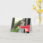 フィーダー写真でハミング空白の鳥 カード (黄色い花)