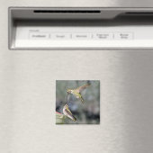 フィーダー磁石のハミングバ飛んでいるーズ マグネット (インサイチュ (食洗機))