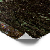 フィーダー運河トレイルポスターの秋の終わり ポスター (角)