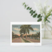 フィートフロリダ州ローダーデール – View of Las Olas ポストカード (スタンド正面)