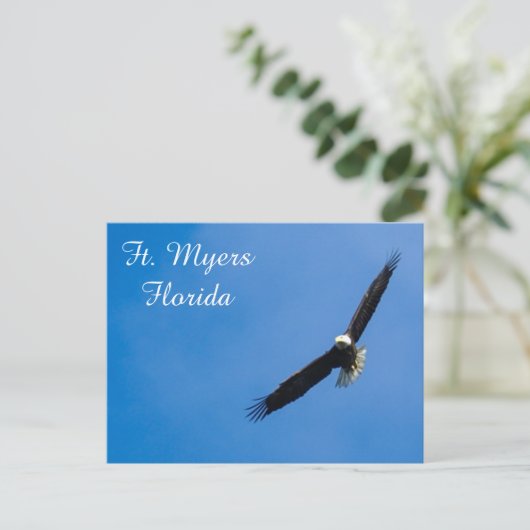 フィートマイヤスバルドイーグル葉書 ポストカード (スタンド正面)