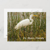 フィートマイヤーズポストカード ポストカード (正面/裏面)