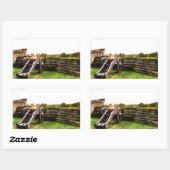 フィートリゴニエ。コレクション 長方形シール (シート)