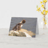 フィーリンダッキー（アヒルちゃん） カード (黄色い花)