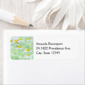 フィールドかわいらしのデイジーの写真 ラベル (インサイチュ)