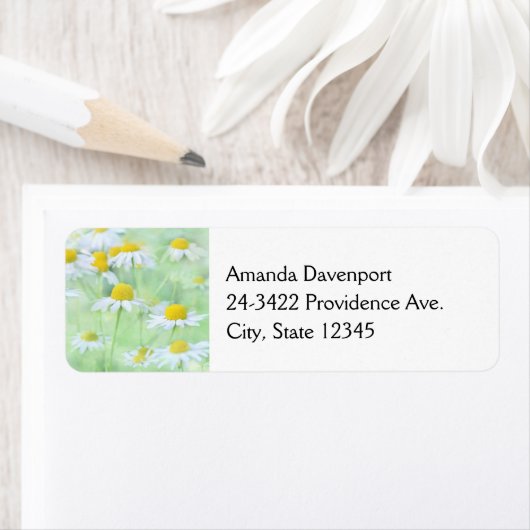 フィールドかわいらしのデイジーの写真 ラベル (インサイチュ)