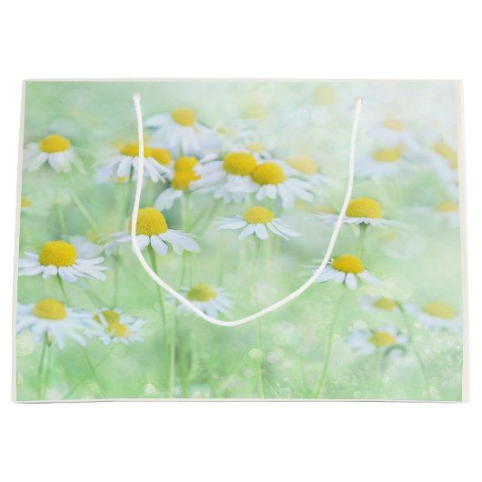 フィールドかわいらしのデイジーの写真 ラージペーパーバッグ (正面)