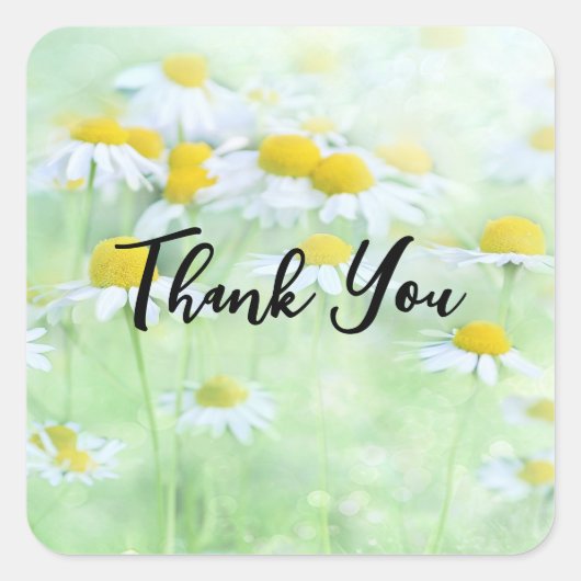 フィールドかわいらしデイジーの写真ありがとう スクエアシール (正面)