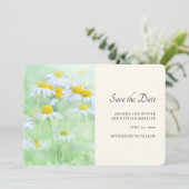 フィールドかわいらしデイジー セーブザデート (スタンド正面)