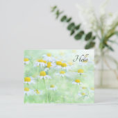 フィールドかわいらしデイジー ポストカード (スタンド正面)