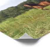 フィールドかわいらしポスターの馬 ポスター (角)