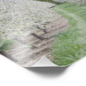 フィールドさくらんぼツリーフラスドアカウンティプリント フォトプリント            (角)