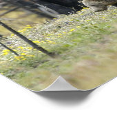 フィールドでグリズリーベア ポスター (角)