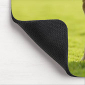 フィールドでブルドッグ マウスパッド (コーナー)