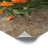 フィールドにオレンジ色のチューリップ、ウッドバーン、または ポスター (角)