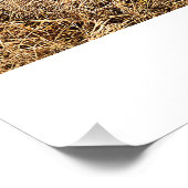 フィールドにフル ポスター (コーナー)