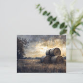 フィールドにヘイ・バレスヴィンテージ ポストカード (スタンド正面)