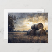 フィールドにヘイ・バレスヴィンテージ ポストカード (正面/裏面)