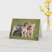 フィールドに白い遊子豚の二つ カード (黄色い花)