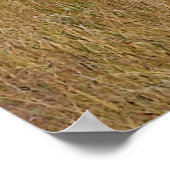 フィールドに立つバック ポスター (角)