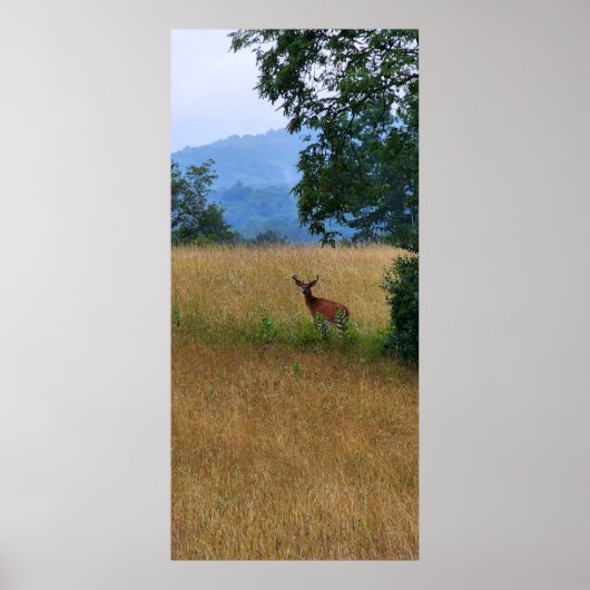 フィールドに立つバック ポスター (正面)