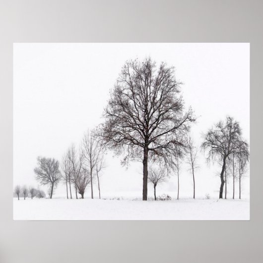 フィールドのまわりにの拡大 |ピエモンテ,イタリア ポスター (正面)