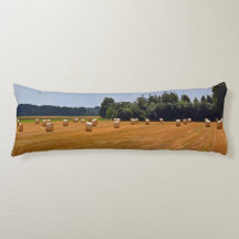 フィールドのストローベール