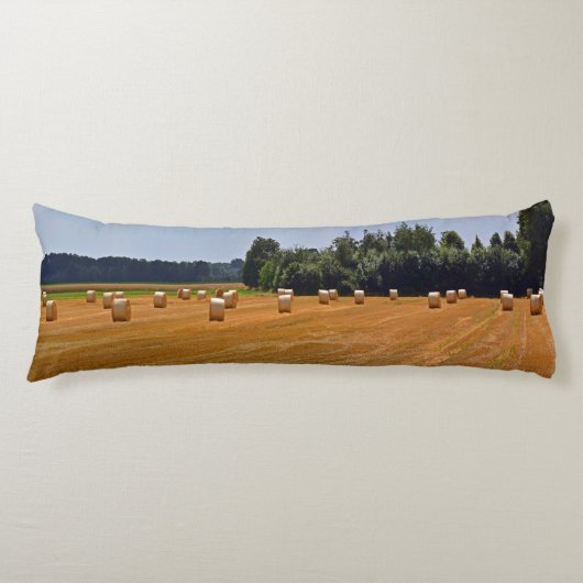 フィールドのストローベール ボディピロー (正面)