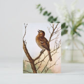 フィールドのスパロー歌 ポストカード (スタンド正面)