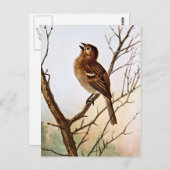 フィールドのスパロー歌 ポストカード (正面/裏面)