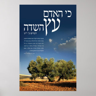 フィールドのツリー ポスター