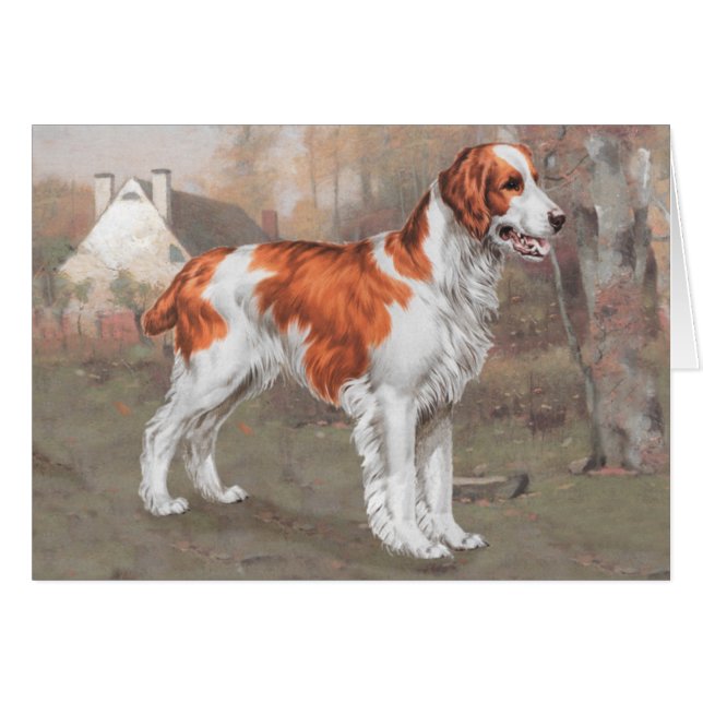 フィールドのブリタニー (正面横)