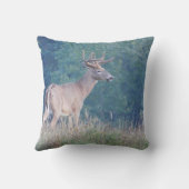 フィールドのホワイトテールディアプロファイル クッション (裏面)