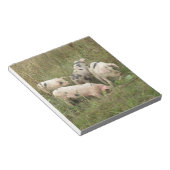 フィールドのメモ帳の豚 ノートパッド (アングル)