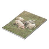 フィールドのメモ帳の豚 ノートパッド (回転)