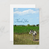 フィールドのロバ サンキューカード (正面/裏面)
