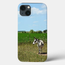 フィールドのロバ