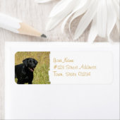 フィールドの宛名ラベルの黒い実習 ラベル (インサイチュ)