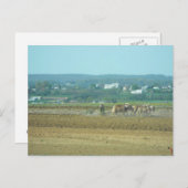 ～フィールドの操作4 to ポストカード (正面/裏面)