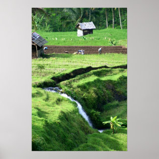 フィールドの操作 ポスター