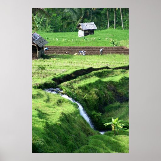 フィールドの操作 ポスター (正面)