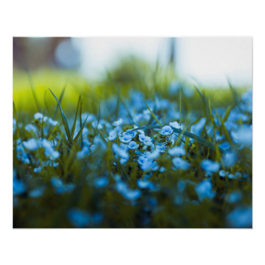 フィールドの春の花 ポスター (正面)