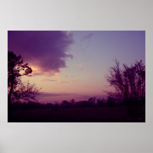 フィールドの牛 ポスター (正面)