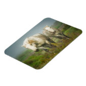 フィールドの白い馬のカマルグ マグネット (左側)